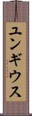 ユンギウス Scroll