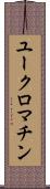 ユークロマチン Scroll