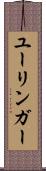 ユーリンガー Scroll