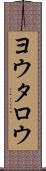 ヨウタロウ Scroll