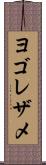 ヨゴレザメ Scroll