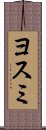 ヨスミ Scroll