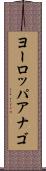 ヨーロッパアナゴ Scroll