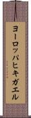 ヨーロッパヒキガエル Scroll
