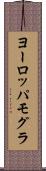 ヨーロッパモグラ Scroll
