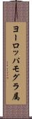 ヨーロッパモグラ属 Scroll