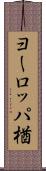 ヨーロッパ楢 Scroll