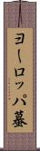 ヨーロッパ蟇 Scroll