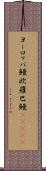 ヨーロッパ鰻 Scroll