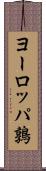 ヨーロッパ鶉 Scroll