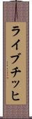 ライブチッヒ Scroll