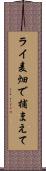 ライ麦畑で捕まえて Scroll
