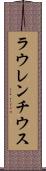 ラウレンチウス Scroll