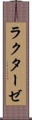 ラクターゼ Scroll