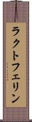 ラクトフェリン Scroll