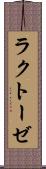 ラクトーゼ Scroll