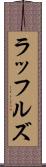 ラッフルズ Scroll
