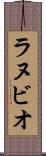ラヌビオ Scroll