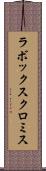 ラボックスクロミス Scroll