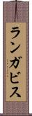 ランガビス Scroll