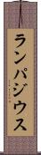 ランパジウス Scroll