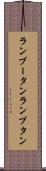 ランブータン Scroll