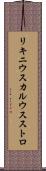 リキニウス・カルウス・ストロ Scroll