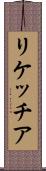 リケッチア Scroll
