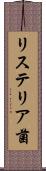 リステリア菌 Scroll