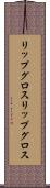 リップグロス Scroll