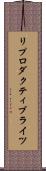 リプロダクティブライツ Scroll
