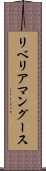 リベリア・マングース Scroll