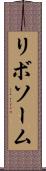 リボソーム Scroll