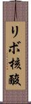 リボ核酸 Scroll
