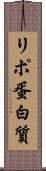 リポ蛋白質 Scroll