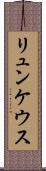 リュンケウス Scroll