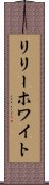 リリーホワイト Scroll