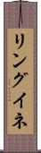 リングイネ Scroll