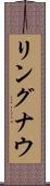 リングナウ Scroll
