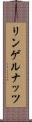 リンゲルナッツ Scroll