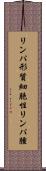 リンパ形質細胞性リンパ腫 Scroll