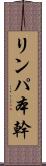 リンパ本幹 Scroll