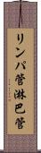 リンパ管 Scroll