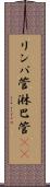 リンパ管 Scroll