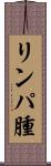 リンパ腫 Scroll