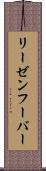 リーゼンフーバー Scroll