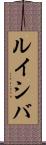ルイシバ Scroll