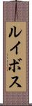 ルイボス Scroll