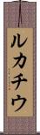 ルカチウ Scroll