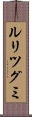 ルリツグミ Scroll